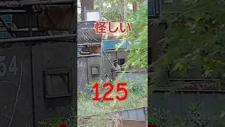 サバゲー ガンカメラ映像 125#サバゲー #airsoft  #shorts