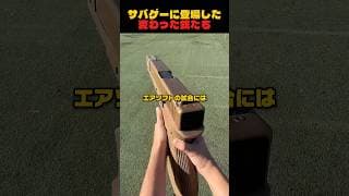 珍しい銃たち