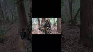 千葉の初心者おすすめ森林サバゲーフィールドのヤネックスです。