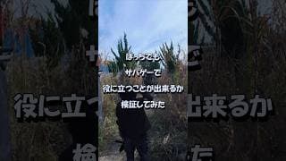 ぼっちサバゲー、現実はこんな感じです。#shorts ＃サバゲー #airsoft #ぼっち #エアガン #サバゲー初心者