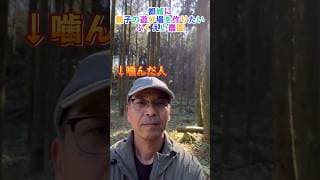 森林サバゲーフィールド予定地を紹介します！ #サバゲー #都城市 #キャンプ